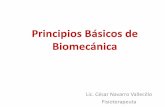Principios Básicos de Biomecánica · Principios de las palancas Defina el tipo de palanca e identifique sus componentes; ( 1-2-3 genero / Fulcro / potencia /Resistencia): Flexión