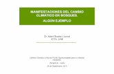 MANIFESTACIONES DEL CAMBIO CLIMÁTICO EN BOSQUES. … · Las manifestaciones del cambio climático sobre las cubiertas forestales son detectadas precursoramente en los grandes ecotonos