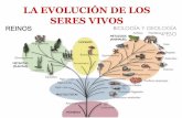LA EVOLUCIÓN DE LOS SERES VIVOS · EVIDENCIAS EVOLUCIÓN Haeckel 1834-1919 La teoría de la recapitulación: El desarrollo embrionario (ontogenia) repite la historia evolutiva de