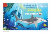 Buceando en la catedral submarina de Colombia · sumergimos en el mar y vimos montones de atunes, cardúmenes de jureles y remolinos plateados formados por cientos de barracudas que