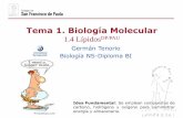 Tema 1. Biología Moleculardpbiologia.weebly.com/uploads/2/1/5/5/21553524/gtp_t1._biología... · Lípidos saponificables simples: Grasas o acilglicéridosDP/PAU La formación del