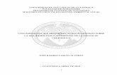UNIVERSIDAD DE SAN CARLOS DE GUATEMALApostgrado.fausac.gt/wp-content/uploads/2016/09/José-Ramiro-García-Álvarez.pdf · 6.1 MARCO CONCEPTUAL 6 6.1.1 Antecedentes 6 6.1.2 Contaminación