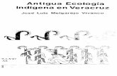 Antigua Ecología Indígena en Veracruz · rece más aceptable la teoría del "estado estacionario" del universo, donde la materia puede realizar sus con tracciones o expansiones,