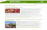INFORMATIU DE L'AGENDA 21 ESCOLAR DE LLEIDA ......Treballem la maduixa de Lleida Informació de l'Agenda 21 Escolar Dins la proposta de treball amb varietats tradicionals de l'Horta