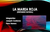 LA MAREA ROJAs95b9e63f05c6a963.jimcontent.com/download/version...TIPOS DE TOXINAS (FAN) • En Chile hemos tenido tres tipos de toxinas en las llamadas Mareas Rojas. • Las toxinas