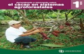 Aprendiendo e innovando sobre G U el cacao en …...1 G U Í A Aprendiendo e innovando sobre el cacao en sistemas agroforestales Estimados productores y productoras de cacao. La guía