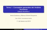 Tema 1: Conceptos generales del Analisis´ Numerico´personal.us.es/bcliment/images/Docencias/CNI/Tema1CN1... · 2018-02-11 · Tema 1: Conceptos generales del Analisis´ Numerico´