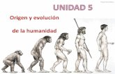 Origen y evolución de la humanidadDarwin y “El origen del hombre” ... ¿Cómo es en humanos en comparación al chimpancé? ¿Cuál es la finalidad de estos cambios en la pelvis?