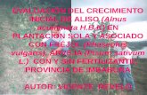 EVALUACIÓN DEL CRECIMIENTO INICIAL DE ALISO (Alnus ...repositorio.utn.edu.ec/bitstream/123456789/816/2/03 FOR 148... · Con estos antecedentes es necesario alcanzar la ... •Determinar