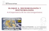 BLOQUE 4. MICROBIOLOGÍA Y BIOTECNOLOGÍA 4.4 Importancia …a_y... · biogeoquímicos, como el del carbono o del nitrógeno.-Perjudiciales: Hay muchos microorganismos causantes de