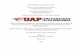 UNIVERSIDAD ALAS PERUANAS FACULTAD DE MEDICINA …repositorio.uap.edu.pe/bitstream/uap/7561/1/T059_76375260_T.pdf · del problema a estudiar, objeto de estudio tanto de la patología