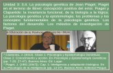 Unidad 3: 3.4. La psicología genética de Jean Piaget ...historiapsi.com/psico/wp-content/uploads/2019/10/Teorico-Piaget.pdf · Jean Piaget (1896-1980) ... niños que viven en el