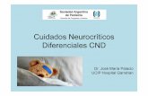 Cuidados Neurocríticos Diferenciales CND · Cuidados Neurocríticos Diferenciales CND Dr. José María Palacio UCIP Hospital Garrahan. ... Monitoreo de PIC CATETER INTRAVENTRICULAR