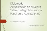 Diplomado Actualización en el Nuevo Sistema Integral de ...justiciapenalbcs.gob.mx/uploads/documentos/Justicia... · protección de personas o bienes jurídicos. ... Antes de concluir