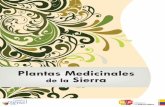 Plantas Medicinales de la Sierra - Gob · 2017-03-07 · Plantas medicinales de la Sierra 5 • La enfermedad como una alteración orgánica, producida por condiciones físicas negativas,