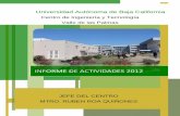 INFORME DE ACTIVIDADES 2012citecuvp.tij.uabc.mx/wp-content/uploads/2019/01/INFORME... · 2019-01-24 · uabc - citec informe de actividades 2012 5 0 50 100 150 200 250 300 350 arquitecto
