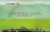 P45 Perú. Ministerio del Ambiente - Programa Bosques · Los datos 2011-2013 reflejan el esfuerzo continuo del equipo técnico del Ministerio del Ambiente y del Ministerio de Agricultura