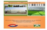 Diagnóstico Cultivos en Invernaderos Cadena Invernaderos.pdf · Superficie de Cultivos Protegidos por Región y Tipo de Estructura de los Invernaderos y Túneles (Hectáreas) Plásticos