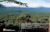 OTOÑO-INVIERNO 2000 - Segovia Educa en Verdesegoviaeducaenverde.com/wp-content/uploads/2017/05/Re...1 Editorial Cuando el eco de la celebración de la cumbre del clima aún no se