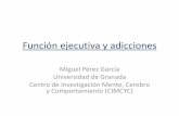 Función ejecutiva y adicciones · Manual de Neuropsicología Clínica. Pirámide. Alteraciones nps de las drogas ... (VIII Premio de Investigación en Adicciones de la Junta de Andalucía)