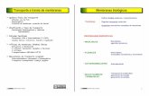 Estructura de nucleósidos y nucleótidos Transporte a ...dbbf.ulpgc.es/medicina/bioquimicaI/transporte.pdf · Estructura de nucleósidos y nucleótidosTransporte a travTransporte