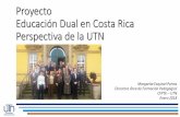 Proyecto Educación Dual en Costa Rica Perspectiva de la UTN · Diciembre Modelo dual: institucionalización una alternativa para el fortalecimiento del sistema educativo y la empleabilidad