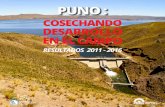 COSECHANDO DESARROLLO EN EL CAMPO · del servicio de agua para el sistema de riego en Asillo y Orurillo - Azángaro, por 5.5 millones de ... cañihua, quinua, cuy, leche, fibra y