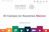 El Campo en Nuestras Manos · 2018-09-04 · SUBSECRETARIA DE DESARROLLO RURAL gob.mx/sagarpa El Campo en Nuestras Manos Objetivo Específico Aumentar la producción agropecuaria,