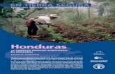 DESASTRES NATURALES Y TENENCIA DE LA TIERRA · Honduras Contexto ambiental Honduras es un pequeño país montañoso de América Central, con estrechas franjas costeras abiertas al