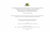 UNIVERSIDAD TÉCNICA ESTATAL DE QUEVEDO UNIDAD DE …repositorio.uteq.edu.ec/bitstream/43000/549/1/T-UTEQ-0084.pdf · Croquis de campo en producción de papa (Solanum tuberosum) variedad