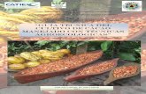 Guía técnica del cultivo de cacao manejado con tecnicas ... - …infocafes.com/portal/wp-content/.../Estrada_et_al_Guia_Tecnica_Cacao.pdf · El cacao es un árbol que puede alcanzar