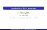 Introducci n a Redes NeuronalesIntroduccio´n a Redes Neuronales D. Balbont´ın Noval F. J. Mart´ın Mateos J. L. Ruiz Reina Dpto. Ciencias de la Computaci´on e Inteligencia Artiﬁcial