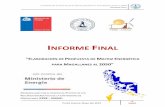 INFORME FINALdataset.cne.cl/Energia_Abierta/Estudios/Minerg/Informe...ELABORACIÓN DE PROPUESTA DE MATRIZ ENERGÉTICA PARA MAGALLANES AL 2050 INFORME FINAL 4 UMAG 4.3.4 Alcances a