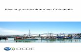 Pesca y acuicultura en Colombia - OECD · Acuicultura Colombiana del Comité de Pesca de la OCDE tiene como objetivo apoyar a los formuladores y reguladores de políticas en el país,
