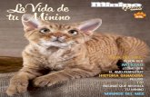 RAZA DEL MES 4 - MININO · La triple felina Como su nombre indica, esta va-cuna sirve para prevenir tres en-fermedades distintas como son la rinotraqueitis, el calicivirus y la panleucopenia.