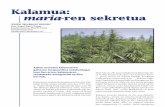 Dosierra CAF-Elhuyar sariak: 1.saria Kalamua: maria-ren ...alweb.ehu.es/euskalosasuna/liburuak/A184_O01-31.pdf · ziklasa sistema (inhibitu egiten da), eta ioi-erretenak (mintz poten-tziala