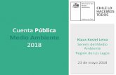 Cuenta Pública Medio Ambiente Klaus Kosiel Leiva …publico.mma.gob.cl/cuentapublica/doc/2017/Presentacion...Deumayun Kiñe Peuma (Construyendo un sueño) $4.900.000 Quellón San