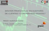 MÁSTER PROFESIONAL EN AUDITORÍA DE CUENTAS Y CONTABILIDAD … · 2016-12-04 · MÁSTER PROFESIONAL EN AUDITORÍA DE CUENTAS Y CONTABILIDAD 2016/2017Máster Profesional en Auditoría