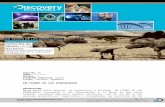 discoveryenlaescuela.comdiscoveryenlaescuela.com/.../uploads/2017/06/49dino.docx · Web viewSe dice de ciertos reptiles fósiles que son los animales terrestres más grandes que han