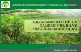 UNIDAD DE AGRONEGOCIOS Y ACCESO AL MERCADO · campos de cultivo y que sean certificables para poder dar fe a los consumidores de su cumplimiento ... - Implementación de Buenas Prácticas