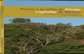 Frutos y semillas de de México - UNAM...10 Frutos y semillas de árboles tropicales de México europeos– posee y estimula en la actualidad entre los miembros de su sociedad un amplio