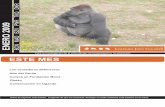 Para la investigación de la vida salvaje, la conservación y la … IJG Enero 09.pdf · 2009-01-26 · Magda Bermejo, con los gorilas de llanura en la República del Congo. Janis