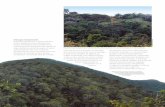 El bosque siempreverde se considerarepositorio.geotech.cu/jspui/bitstream/1234/1431/103/162...La selva húmeda de llanura sólo se encuentra en la región de Baracoa, asociada a las