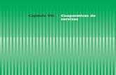 Capítulo VII: Cooperativas de servizosemprego.ceei.xunta.gal/.../Libro_Blanco_do_Cooperativismo_capitulo07.pdf · destacan por converterse en distribuidoras especializadas de primeira