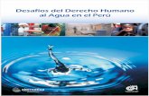 Desafíos del Derecho Humano al Agua en el Perúculturales en general, y para el derecho al agua específicamente. Para 11.11.11, una participación del sector privado en un servicio