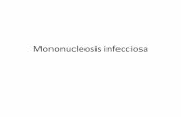 Mononucleosis infecciosa - old.fmed.uba.arold.fmed.uba.ar/depto/microbiologia/catedra2/23_mononucleosis.pdf · las células productoras de virus. IgM-VCA es transitoria. IgG-VCA es