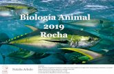 Biología Animal 2019 Rocha · 2019-08-22 · Biología Animal 2019 Rocha Natalia Arbulo Asistente PDU “Aportes a la gestión territorial y producción responsable en la región