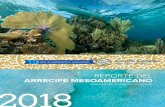 EVALUACIÓN DE LA SALUD DEL ECOSISTEMA 2018healthyreefs.org/cms/wp-content/uploads/2012/12/... · en política pública para la protección de peces herbívoros en 3 de los 4 países.