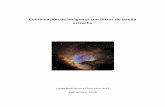 Combinación de imágenes con filtros de banda estrecha · 2008-12-04 · Figura 4. Nebulosa del comecocos representada con la paleta HO(O+0.3H) Paletas a la carta en falso color