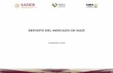 REPORTE DEL MERCADO DE MAÍZ · • El cultivo del maíz tuvo su origen en México, de donde se difundió hacia el norte hasta Canadá y hacia el sur hasta Argentina. La evidencia